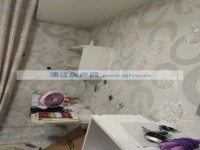 其它图