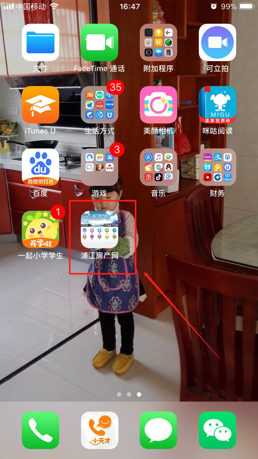苹果05.jpg