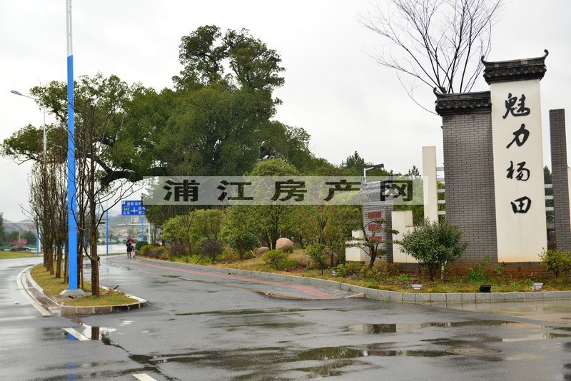 实景图