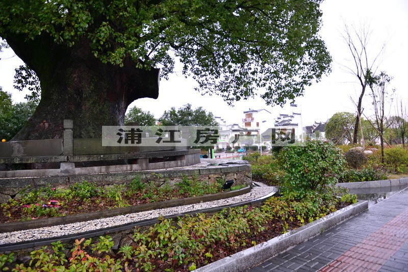 实景图