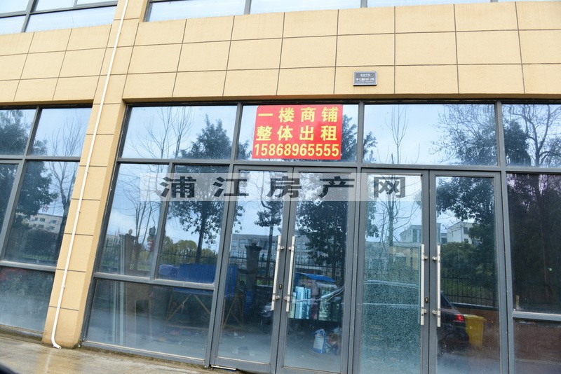 实景图