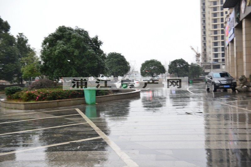 实景图