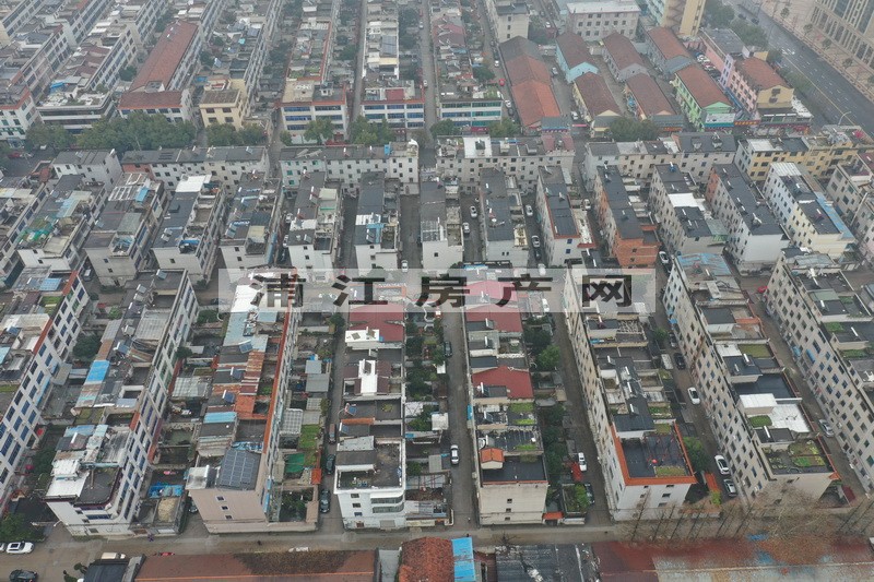 实景图