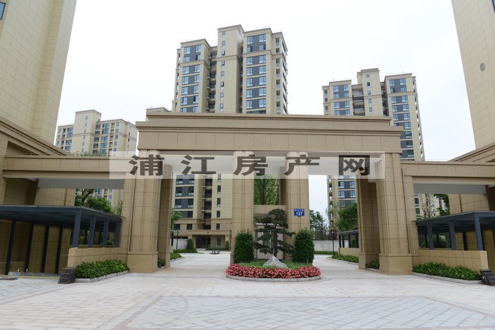 实景图