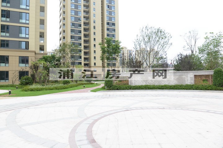 实景图