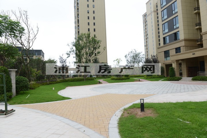 实景图