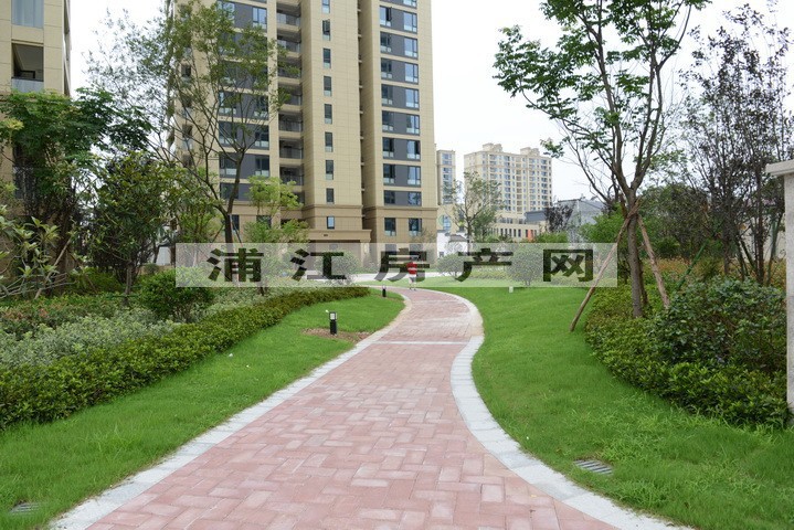 实景图