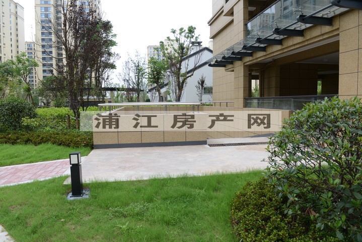 实景图
