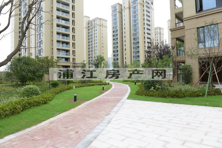 实景图