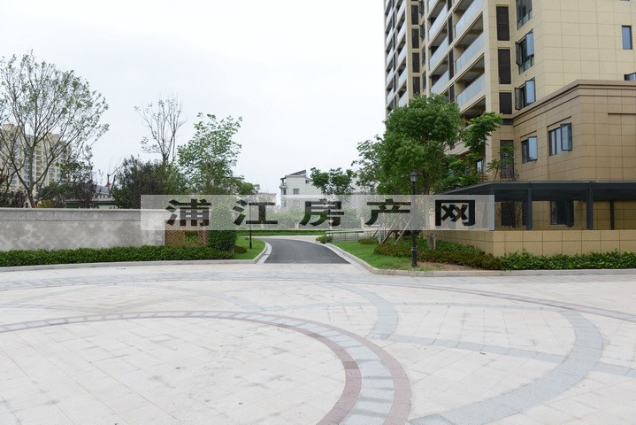 实景图
