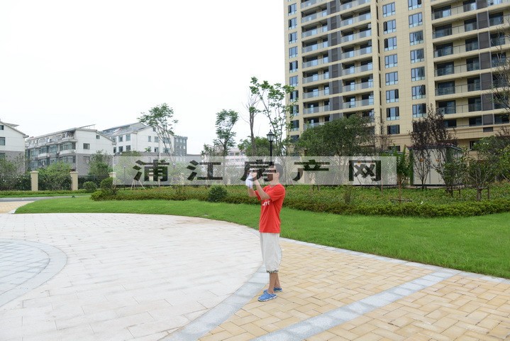 实景图