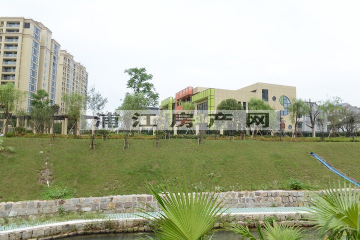 实景图