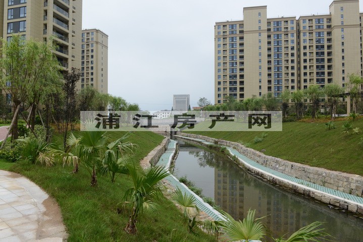 实景图