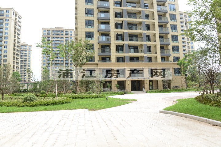 实景图