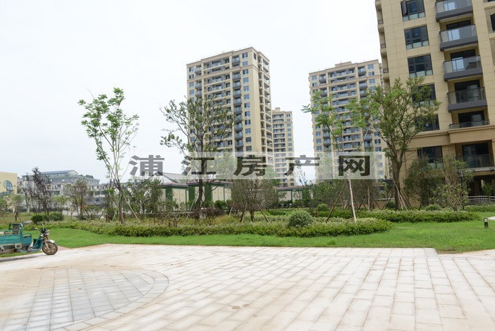 实景图