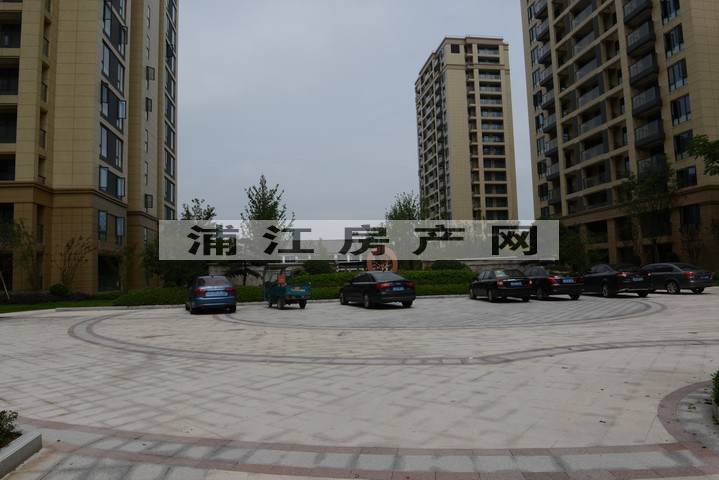 实景图