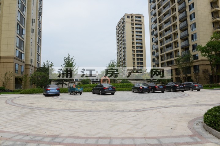 实景图