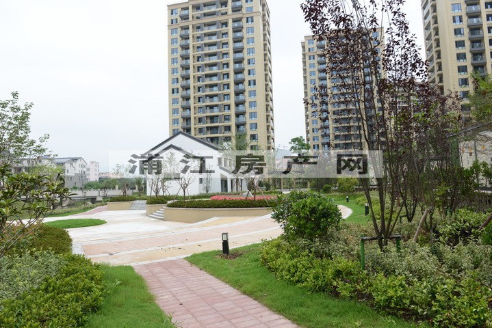 实景图