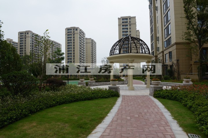 实景图