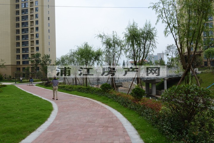 实景图