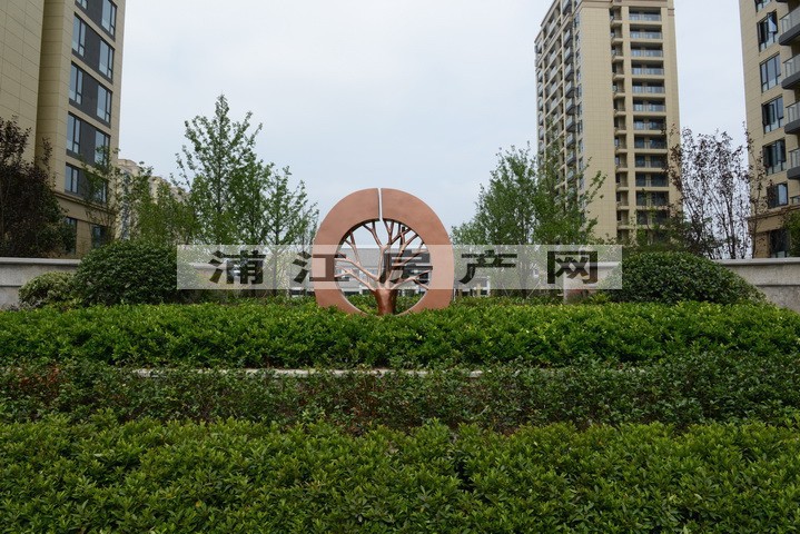 实景图