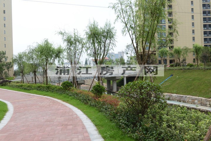 实景图