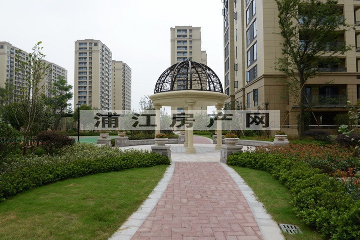实景图