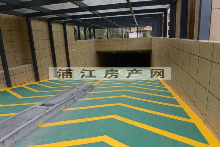 实景图