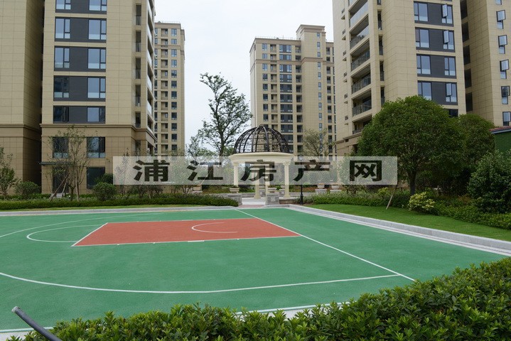 实景图