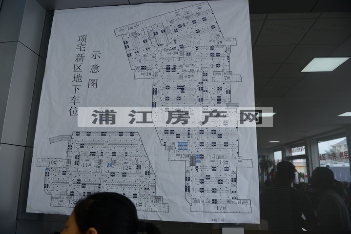 实景图