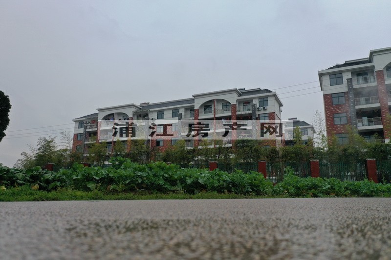 实景图