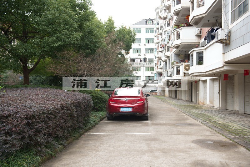 实景图
