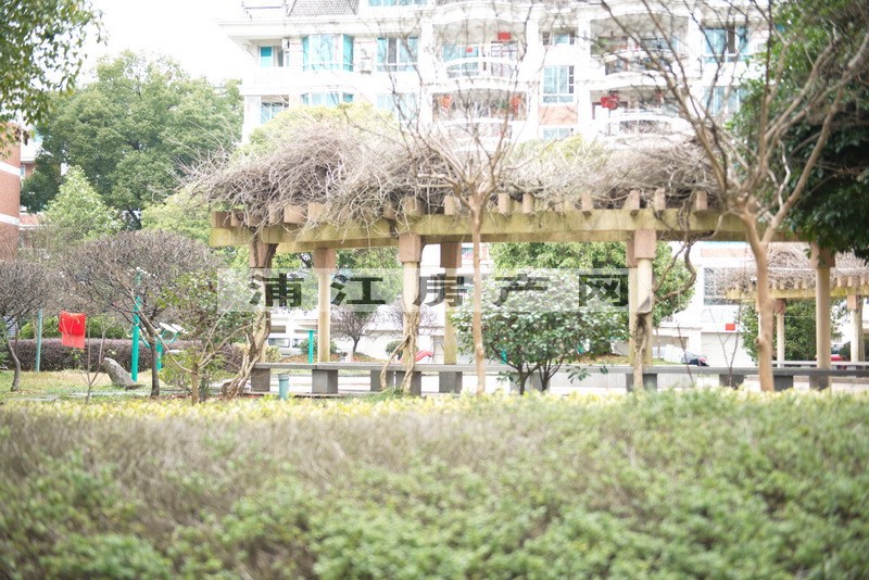 实景图