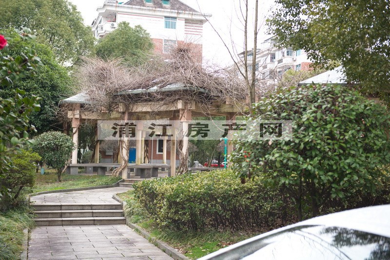 实景图