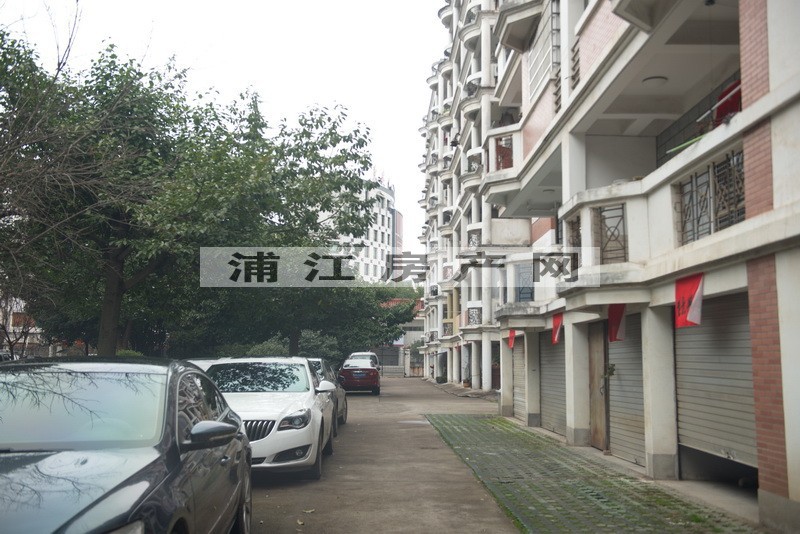 实景图