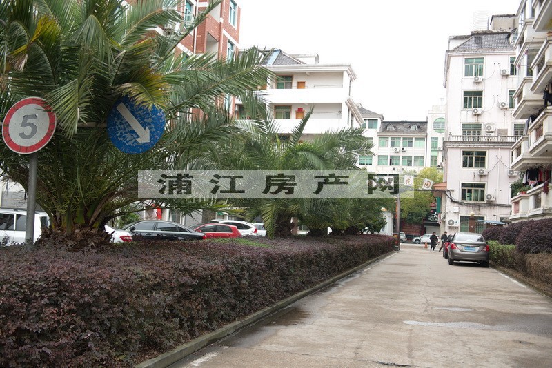 实景图