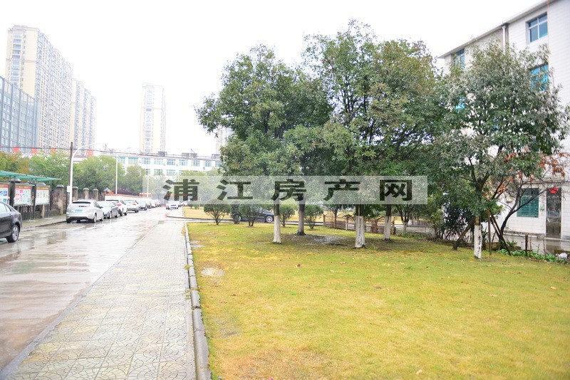 实景图