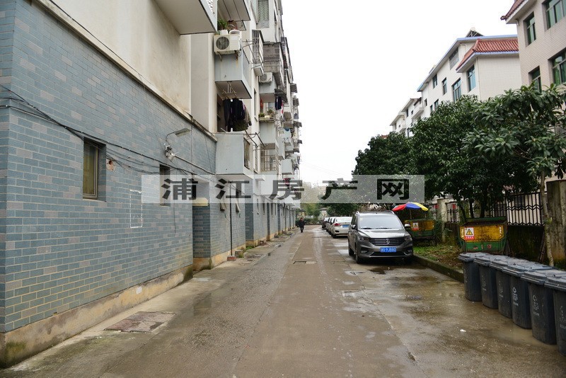 实景图
