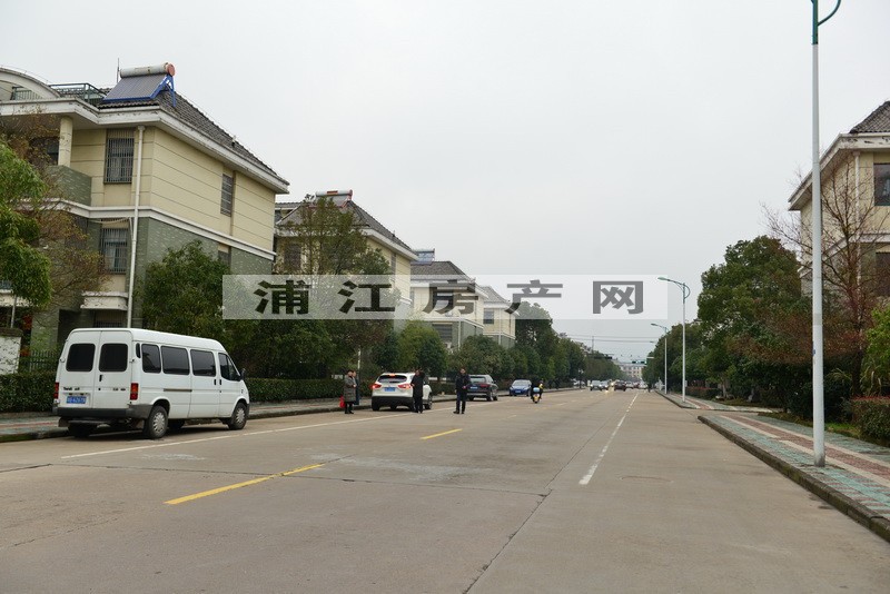 实景图