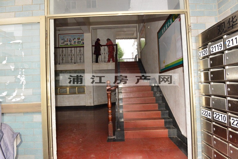 实景图