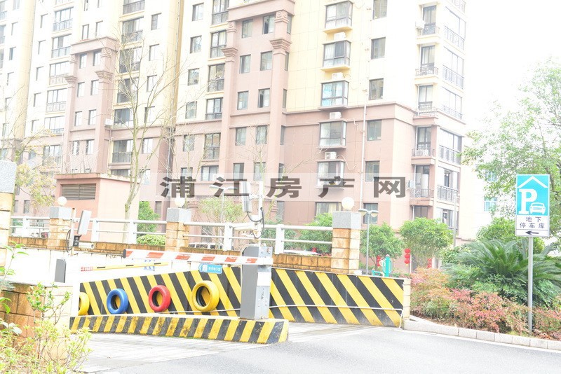 实景图