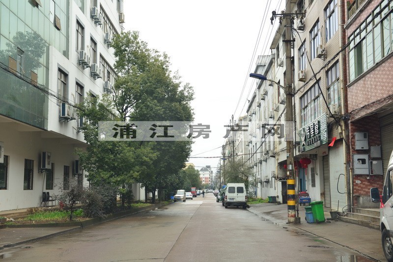 实景图