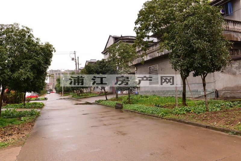实景图