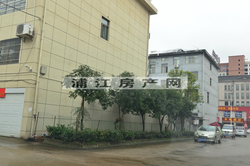 实景图