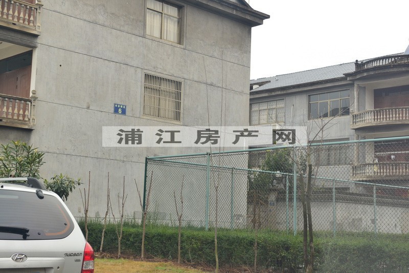 实景图