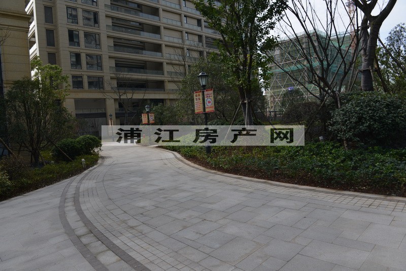 实景图