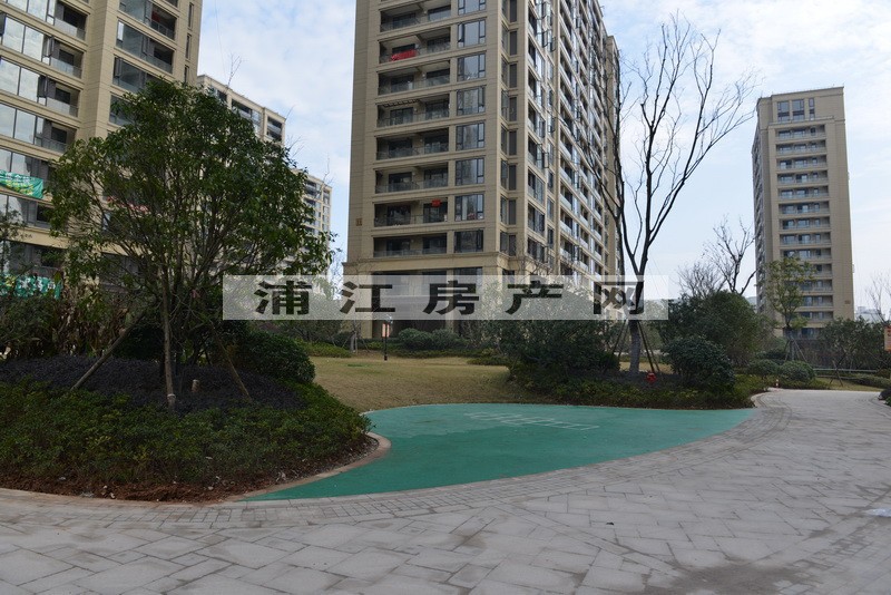 实景图