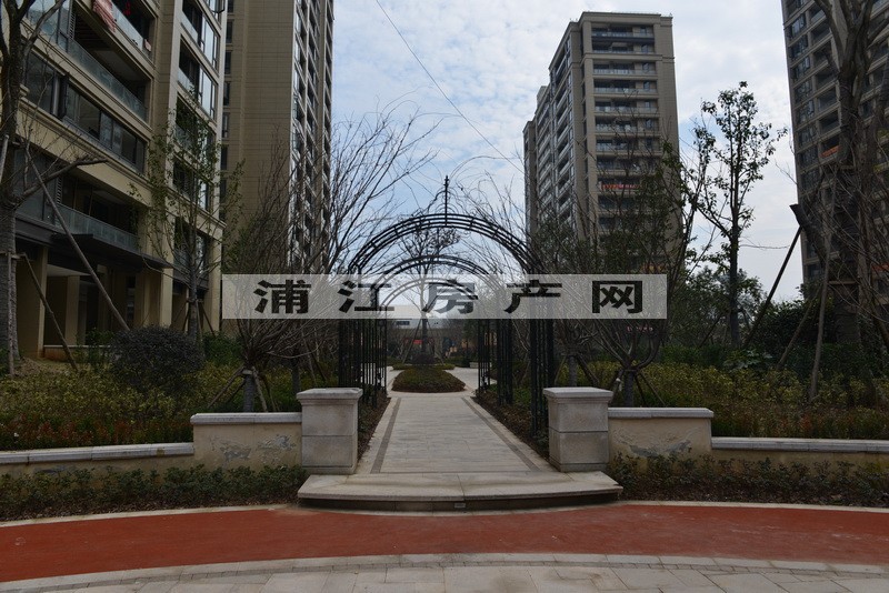 实景图