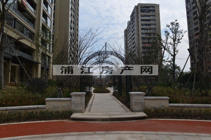 实景图
