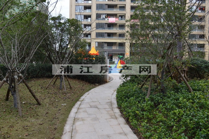 实景图